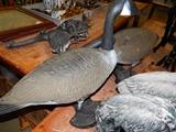decoys