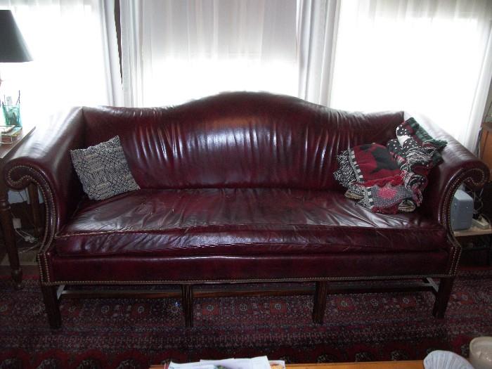 Leather Sofa shows great Character