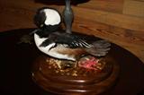 Hooded Merganser   Alabama