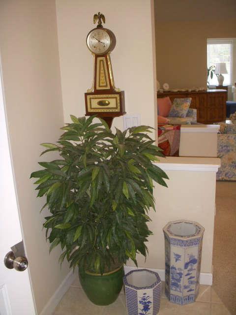 20th Century Seth Thomas 8 day banjo clock (working), Silk plant & oriental style jardinere & umbrella stand