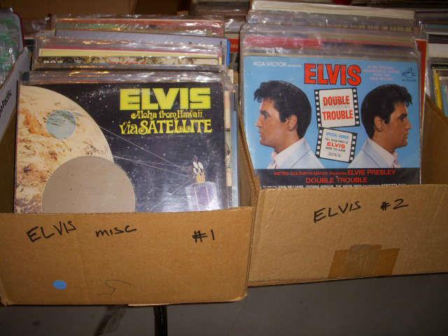Elvis!!!!