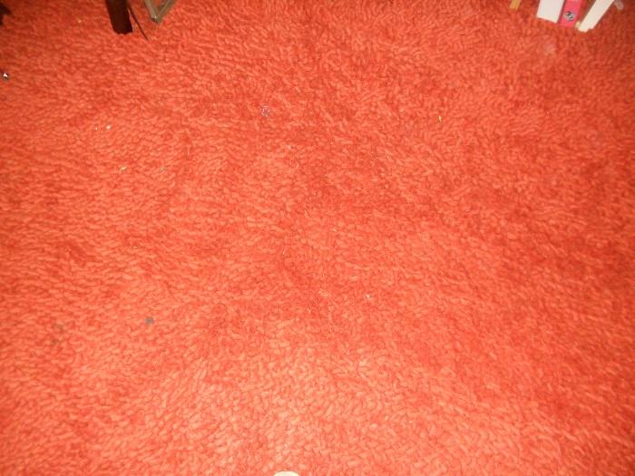 Orange shag rug