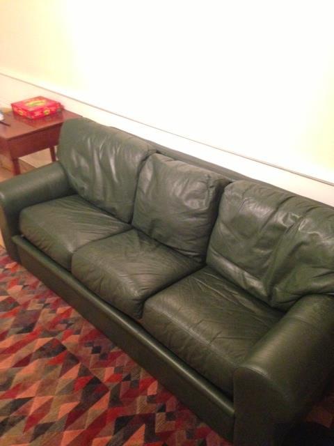 Domain Leather couch/sleeper.  Down filled back cushions.