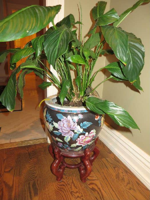 CHINESE POT ON STAND
WITH PLANT
