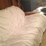 Futon which folds out