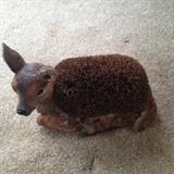 Foot brush fawn