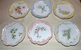 French hand painted luncheon plates with a floral design.