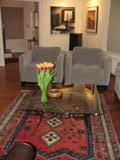 Mitchel Gold -Crate & Barrel Upholstered Chairs