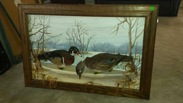 Antique Taxidermy Picture Pheasant