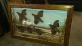 Antique Taxidermy Picture Quail