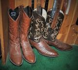 Cowboy Boots