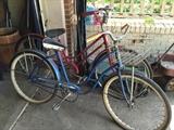 #75 Schwinn Breeze bike red $150   #76 Sportsmaste bike $50 