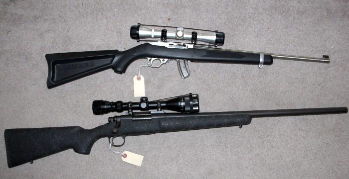 Ruger 10/22 .22LR, Remington Model 700 .220 Swift