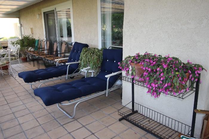 Sun loungers, Easter cacti, plant stand, rattan and iron chairs.
