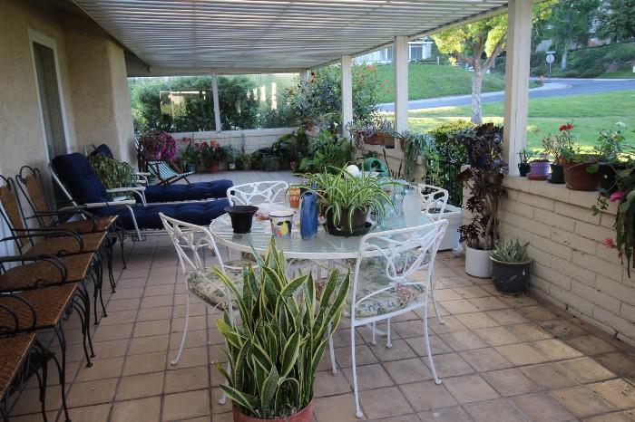 Plants and patio furniture.