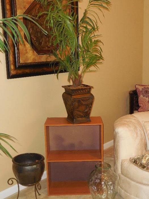 small bookshelf, plants, planters