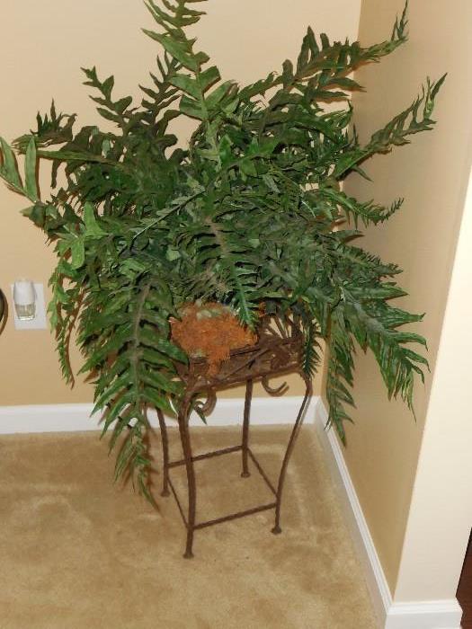 plant with stand