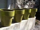 Large green ceramic planters from Chalet Nursery
