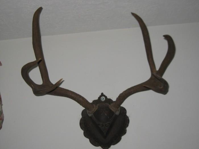 LARGE DEER RACK WITH VICTORIOAN IRON MOUNT
