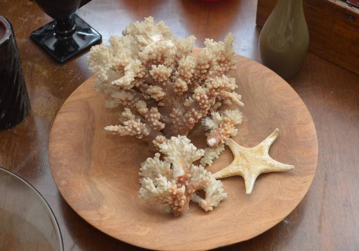 Vintage Coral Speciman