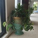 Jumbo Glazed terracotta pots thriving with plants