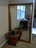 Large Mirror/ small plant 