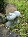 Mushroom yard art