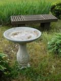 Bird bath
