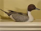 Fine Detail Carved Drake Pintail Decoy