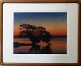 Sunset, LE Photo, Joel B McEachern (Tampa, FL)