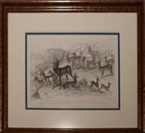 Copper-plate Engraving of Deer from Oliver Goldsmith's (1728-1774) A History of the Earth and Animated Nature