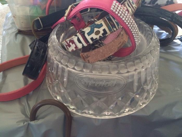 Dog leashes, dog carriers, solid glass food bowl (it says Spoiled), new dog shampoos etc