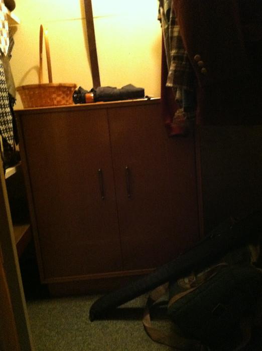 Cabinet being used in a closet.