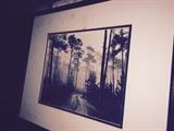 Framed Print by Alfred Steiglitz