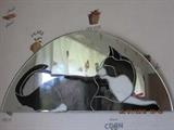 Cat mirrors