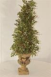 Furnishing – Decorative plant/shrub in pot. Piece is unmarked.