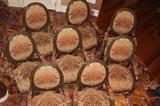 Furniture – Group lot of eight armchairs. Pieces have wooden frame with upholstered seat back and seat cushion. A beige base with red and orange floral pattern. Base and legs are carved. Golden accents throughout. Very nice condition. Piece marked Marge Carson.