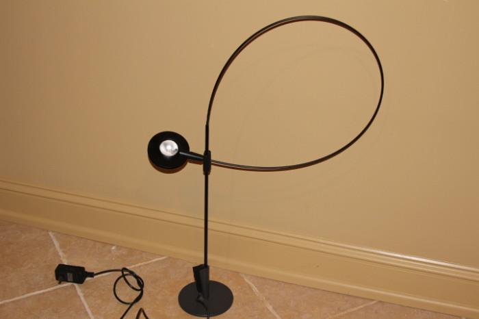Furnishing – Adjustable floor lamp. Piece is black, with a plug, and very flexible long neck.