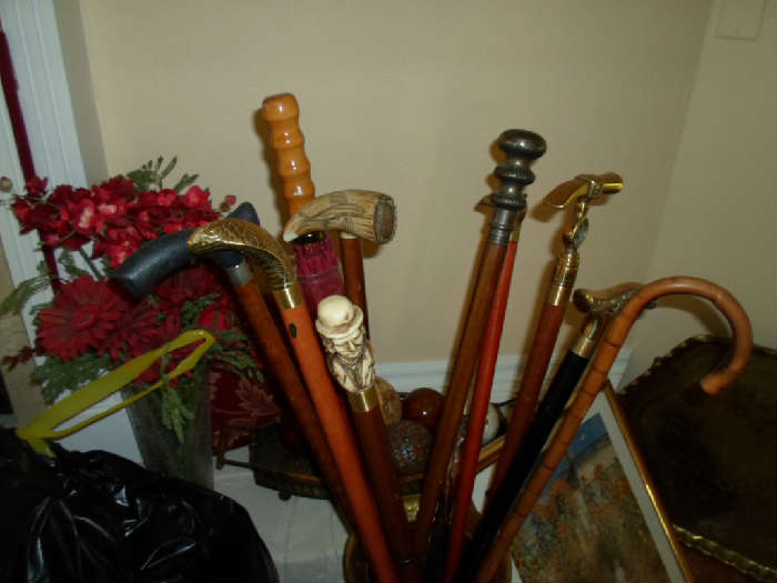 cane collection & holder