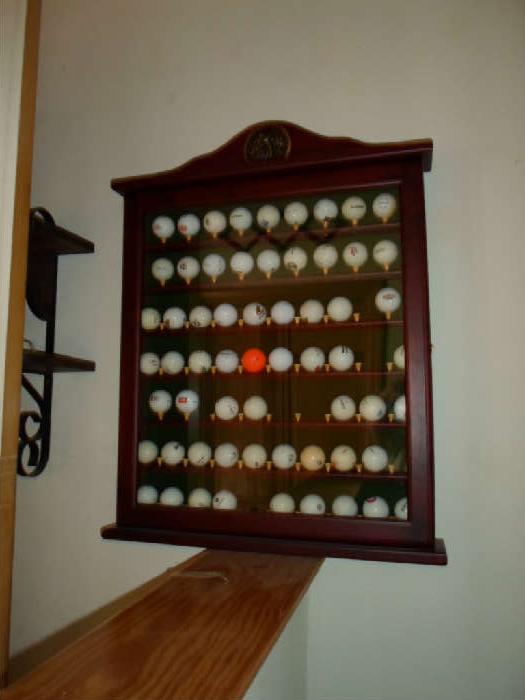 golf ball collection & holder