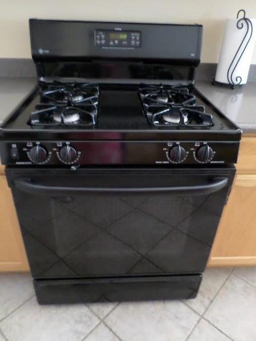 Black gas stove with self cleaning oven