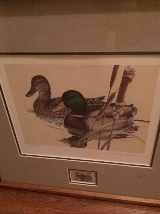         Larry Hayden framed duck print