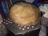 Mink ladies' hat from Loveman's, Nashville
