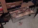 birch firewood