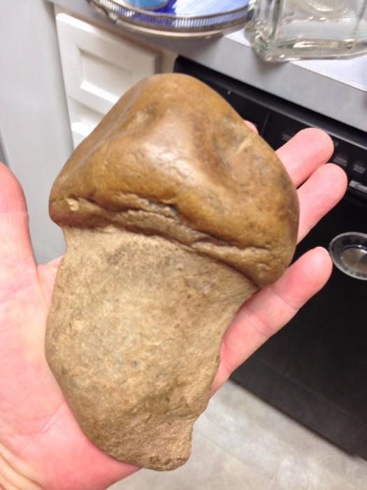 large Shark's tooth fossil hunters treasure