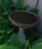 Bird bath