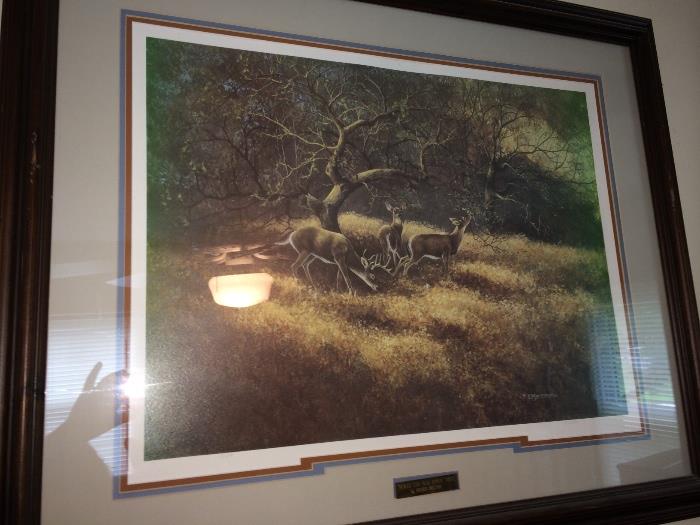 Nice deer print framed