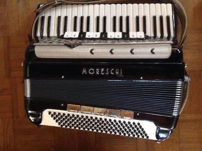 Accordion, has leather straps and case!