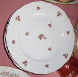Bavarian Porcelain Dinnerware
