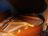 Inside Baby Grand